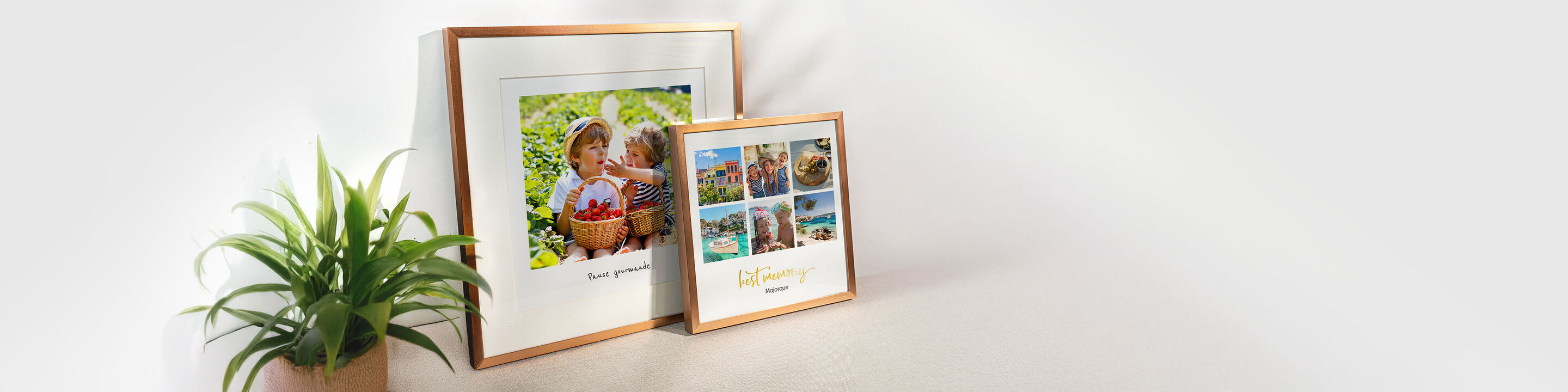 Deux photos encadrées avec une plante à l'arrière-plan. L'une montre un enfant heureux dans un panier de fraises.