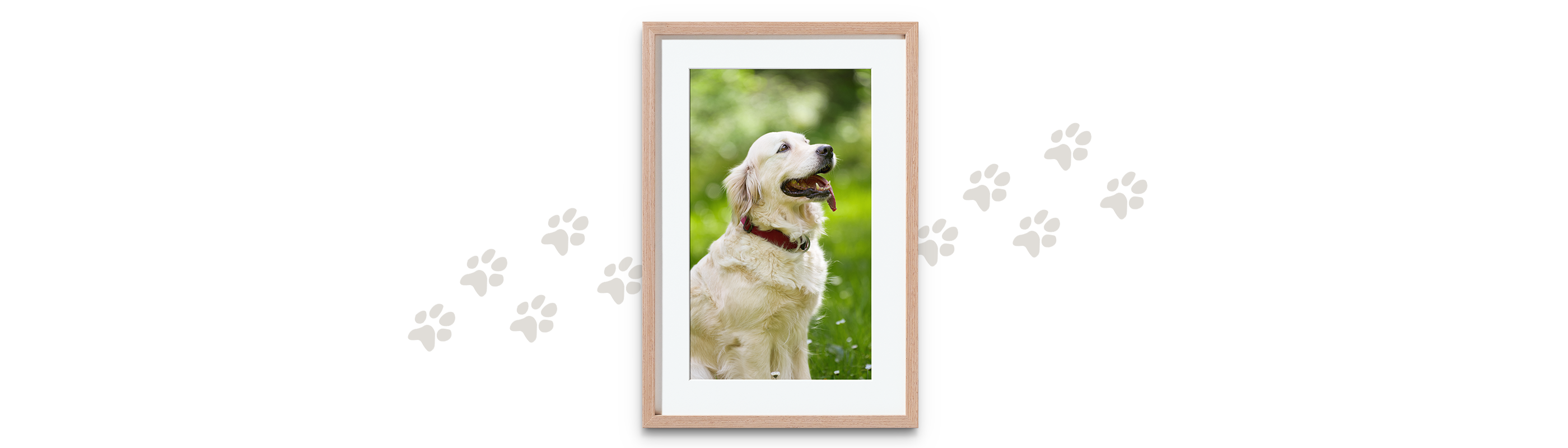 Cadre photo personnalisé en bois clair avec portrait d’un chien