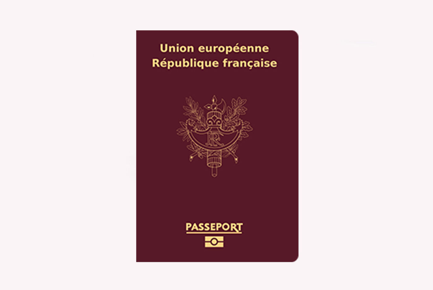 Visuel passport français