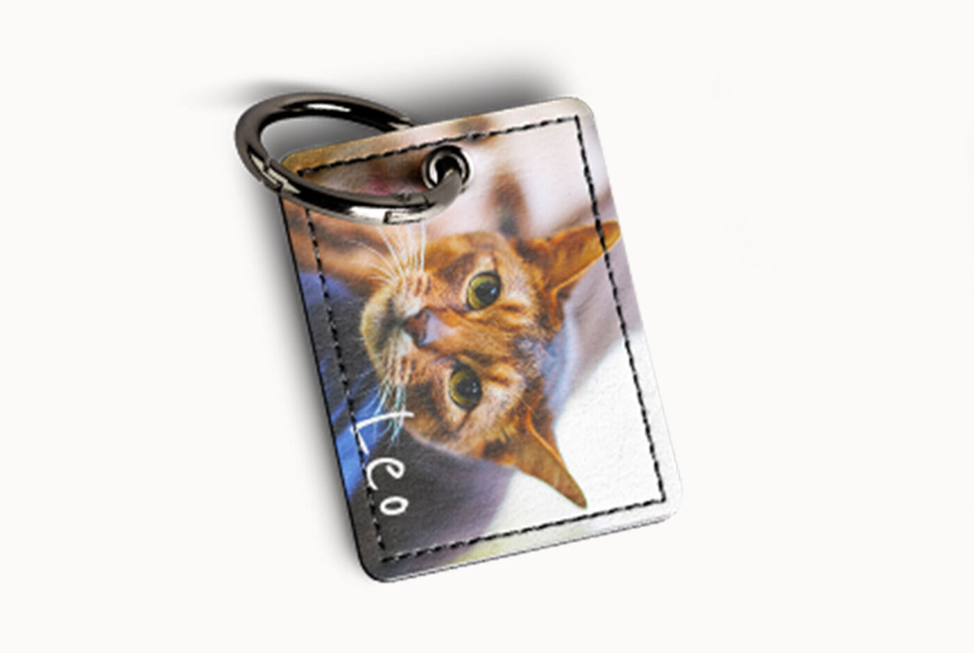 Porte-clés avec photo d'un chat détendu.