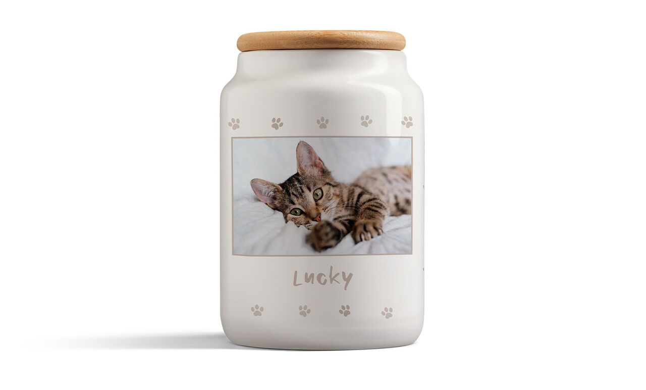 Boîte pour biscuits animaux avec photo