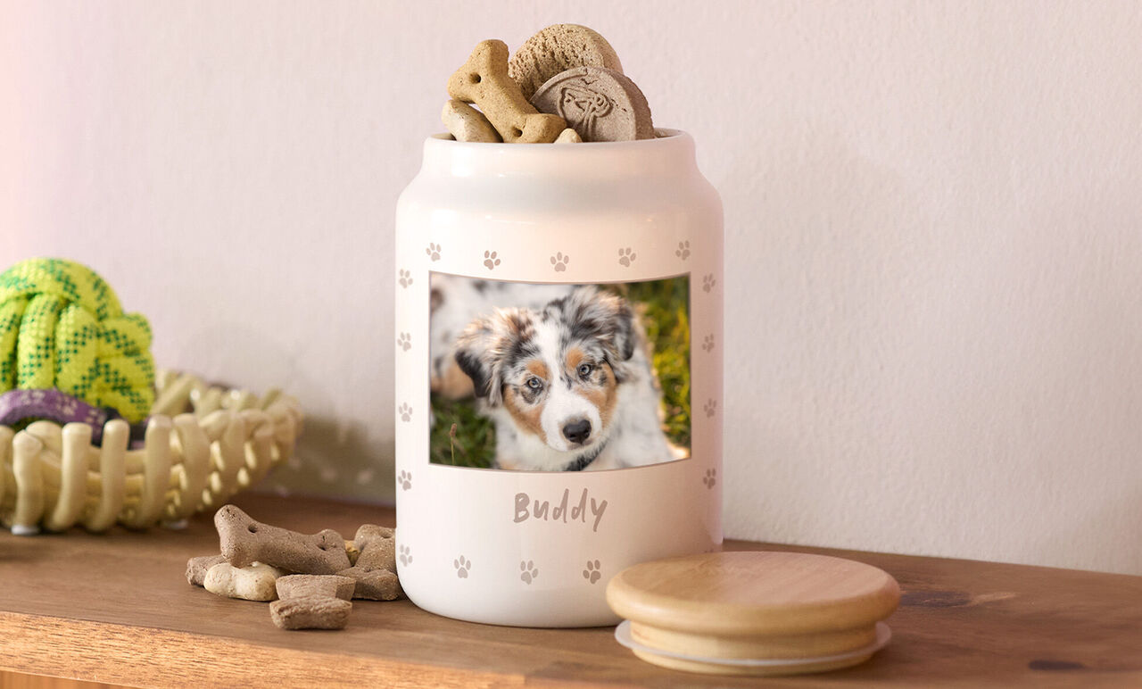 Boîte à friandises pour animaux posée sur une étagère