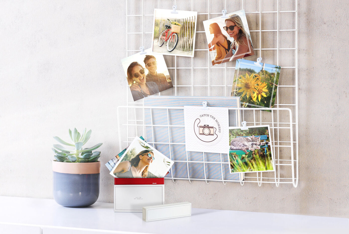 Un mur décoratif avec des photos et une plante en pot.