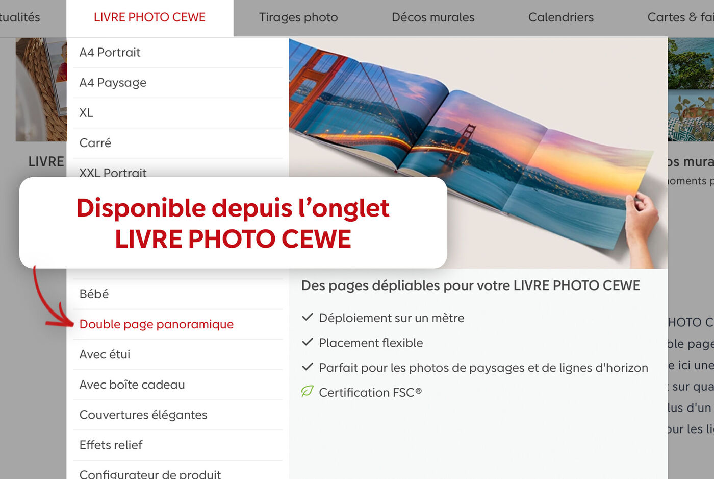 La capture d'écran montre les choix pour les livres photo CEWE, y compris "Double page panoramique".